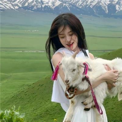 晚风引擎纪海报