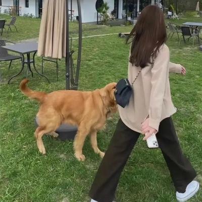 青石告白特别篇海报